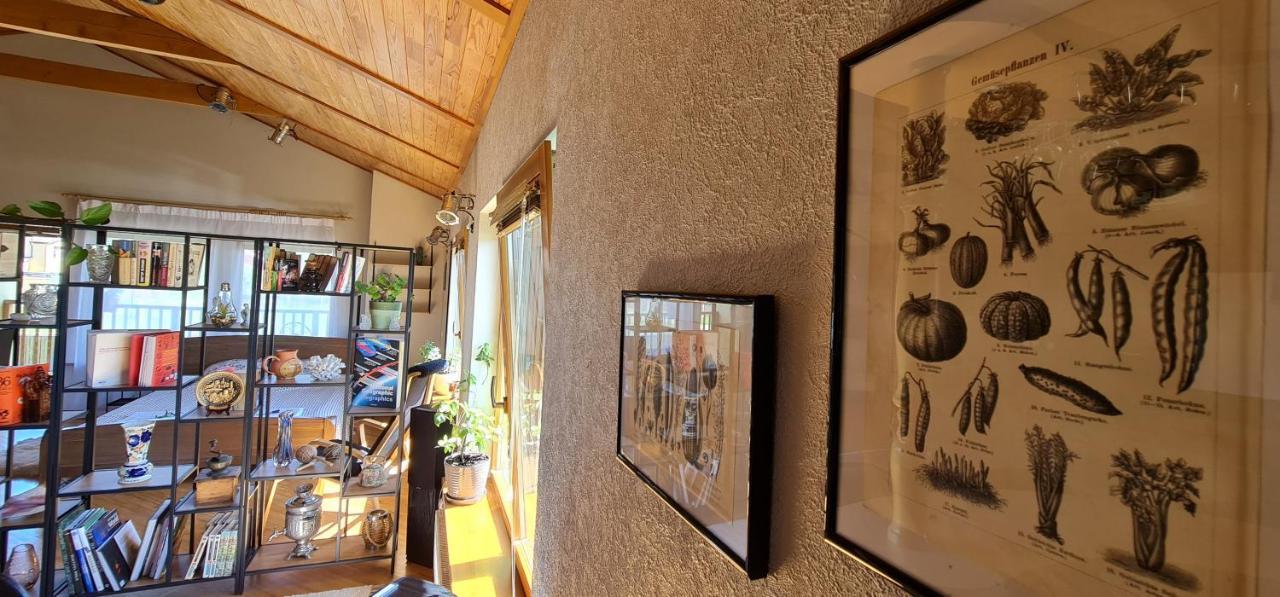 Spacious House With Indoor Pool & Sauna. Ādaži Dış mekan fotoğraf