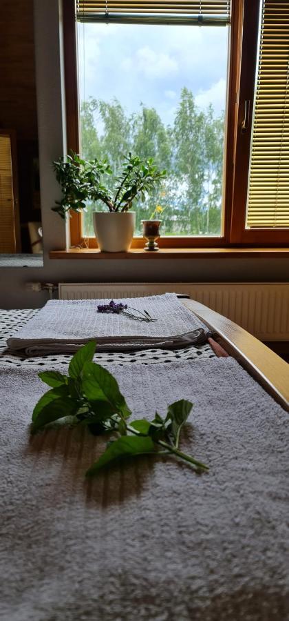 Spacious House With Indoor Pool & Sauna. Ādaži Dış mekan fotoğraf